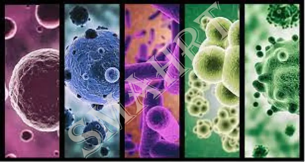 Microbiology e-book 6th Edition